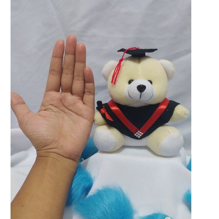 PROMO BONEKA WISUDA/BONEKA BUKET/BONEKA HAMPERS/BONEKA MURAH