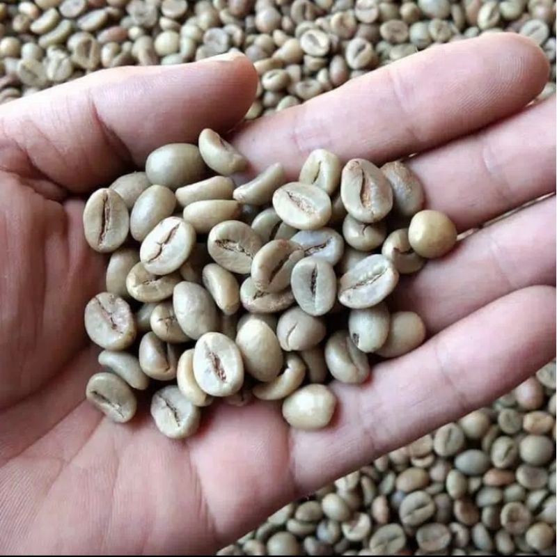 

KOPI ROBUSTA BIJI MENTAH DAMPIT MALANG 1kg ( Grade 1 )