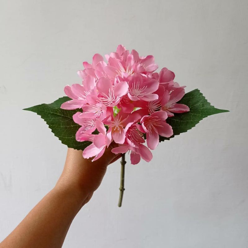Bunga Hortensia 1324