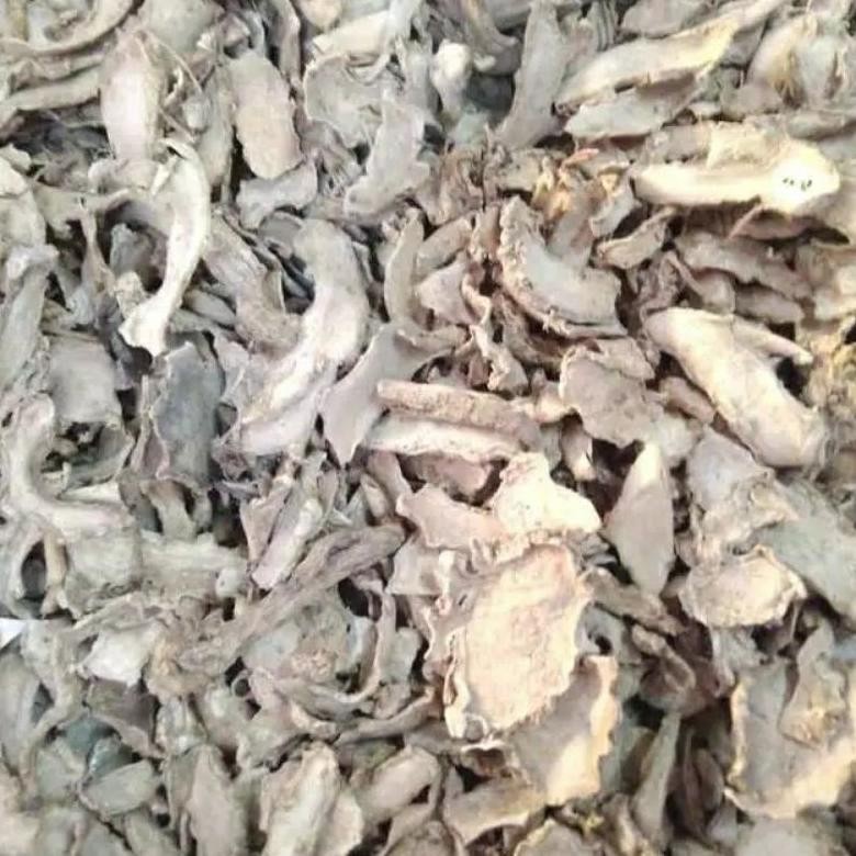 

Temu Mangga Kering / Curcuma Mangga / Curcuma Amada 500 gram