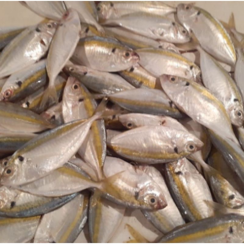

Ikan Selar 1kg