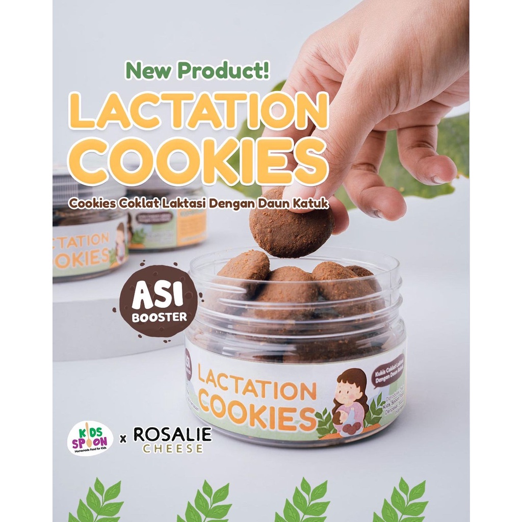 

Kids Spoon Lactation Cookies 110g/Kukis Coklat Laktasi Dengan Daun Katuk