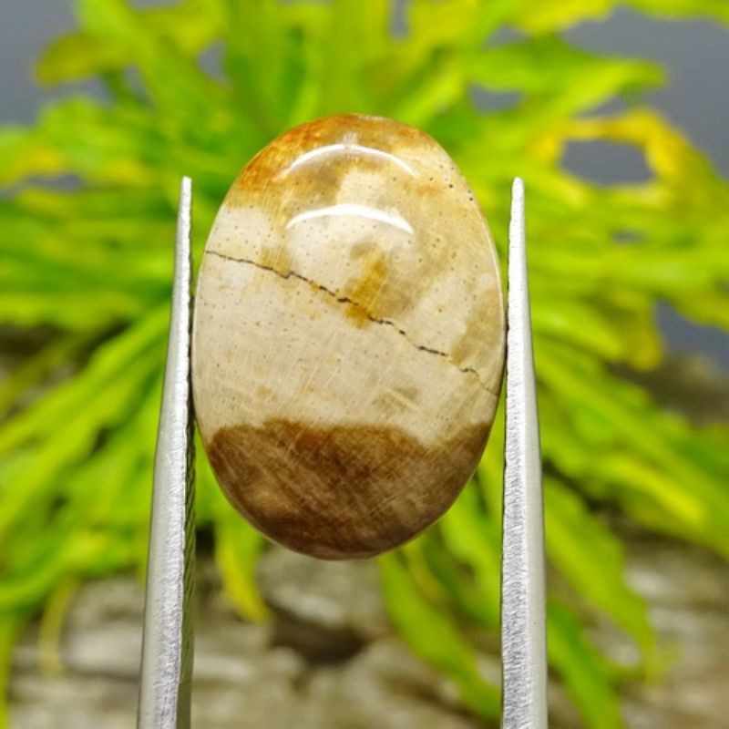 

Mustika Kerejekian Ladang Berkah
