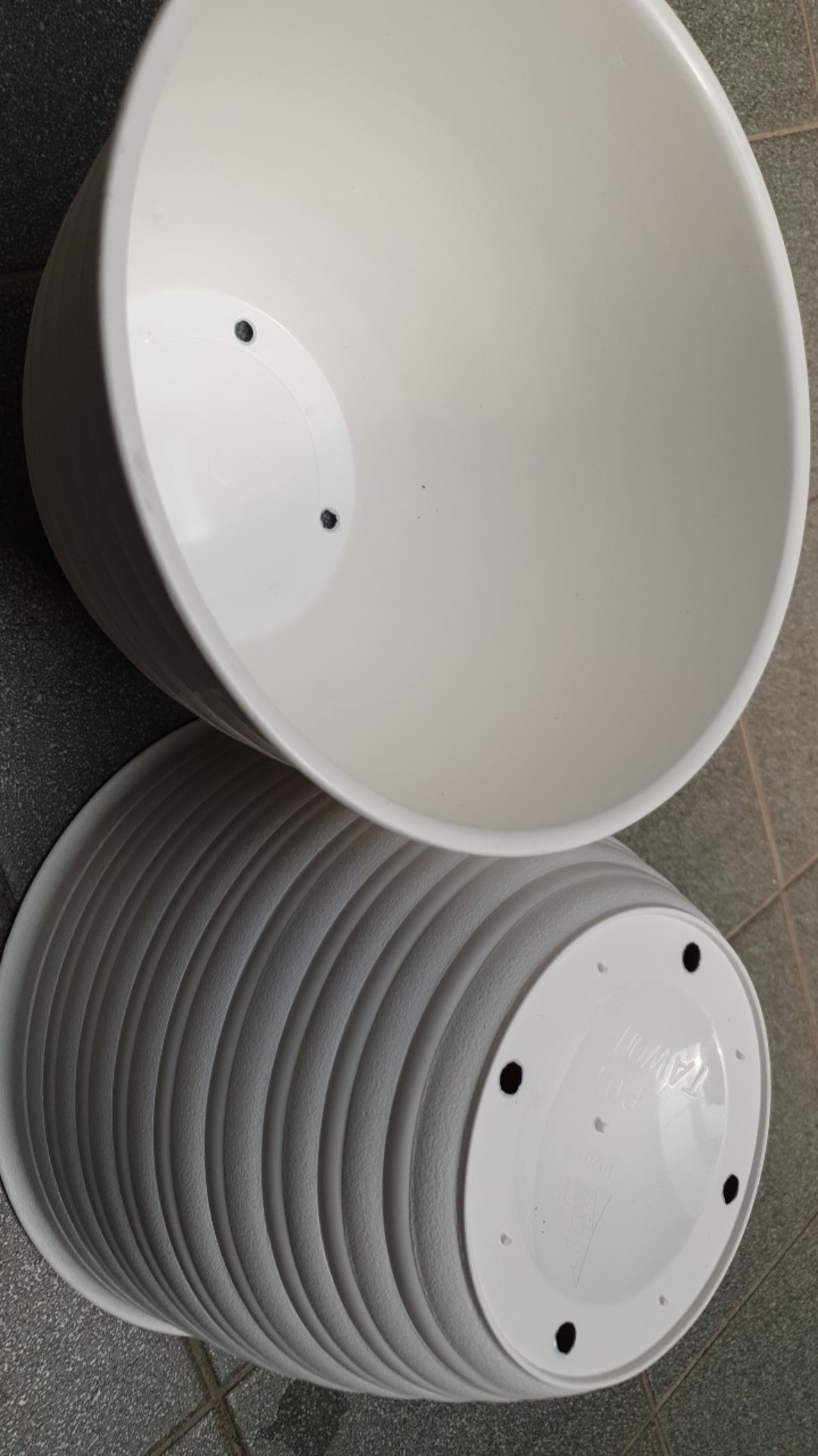 Pot Bunga Tanaman Motif Tawon Putih 24 Cm - Tawon Asli