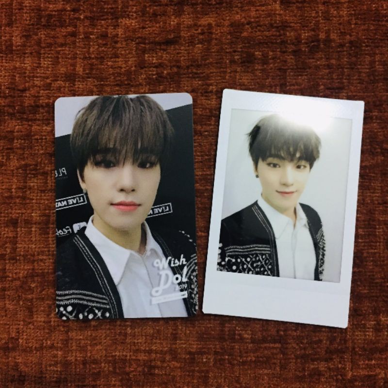 Wishdol & Cheki Dino Seventeen (booked)