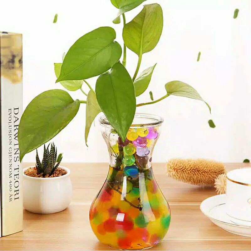 Hidrogel/Media Tanam Air