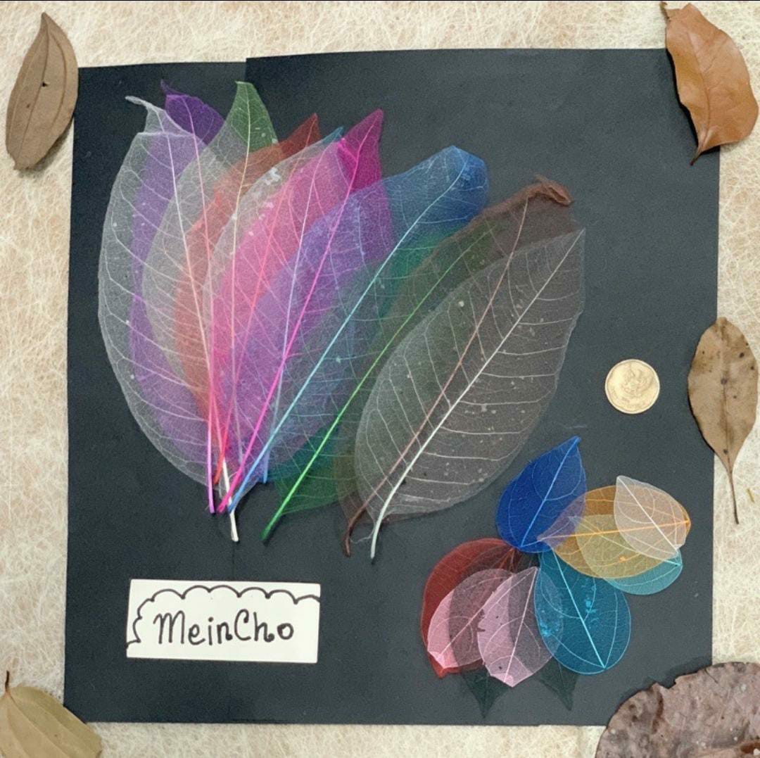 Box Uang, Kotak Uang, Mahar