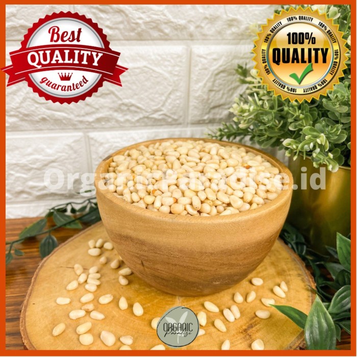 

Kacang Pinus Mentah 100 gr / Raw Pine Nut 100 gr