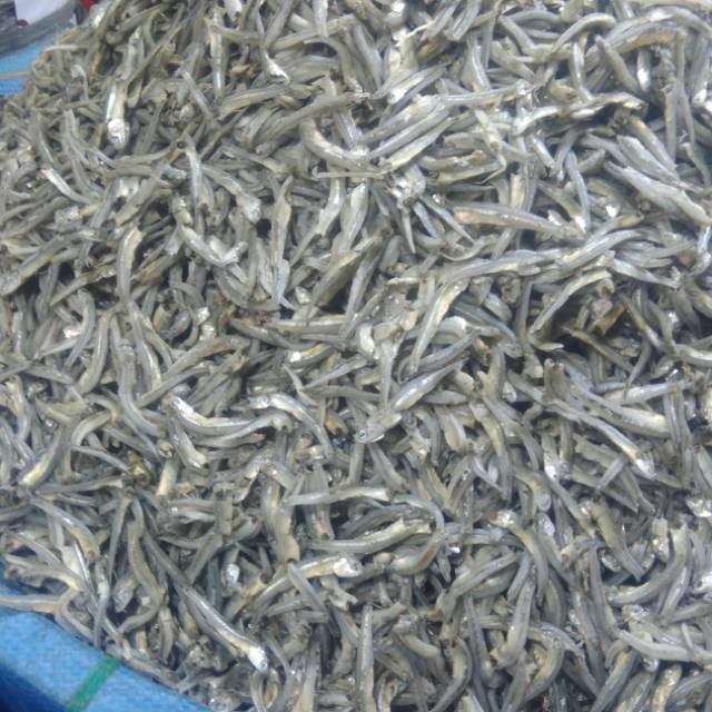 

Ikan teri buntiau , ikan teri buntio enak tdk keras 500gr