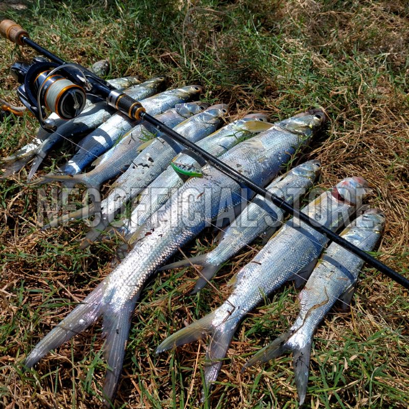 Minnow sinking 5gr/5cm TSURINOYA REPLIKA. Umpan tiruan bentuk ikan. Umpan casting