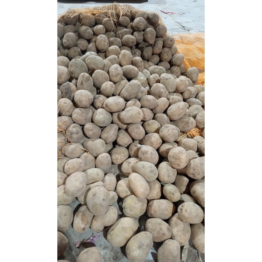 

KENTANG FRESH 1KG