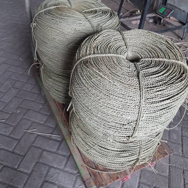 

Tali mendong / tampar sigress