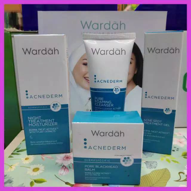 Wardah Paket Acne Mini