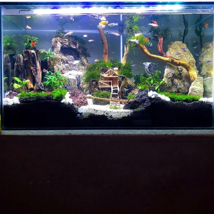 Aqua | Aquascape 60 Cm Full Set