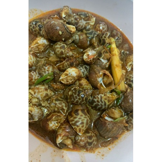 

Keong macan