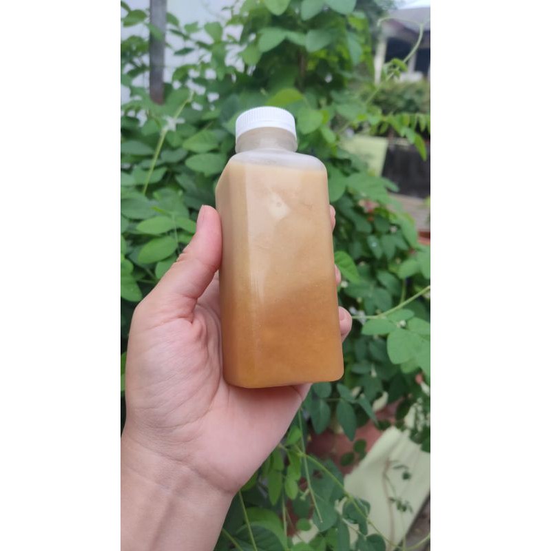 

Milky Ginger ( Susu Jahe )