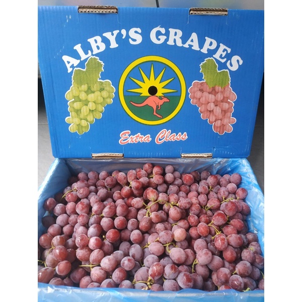 

Anggur Red Globe Alby’s Australia 1 Dus (9 KG) Fresh Import