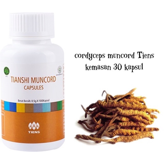 Cordyceps Tiens isi 30 capsule | Muncord Tianshi Obat Dewa