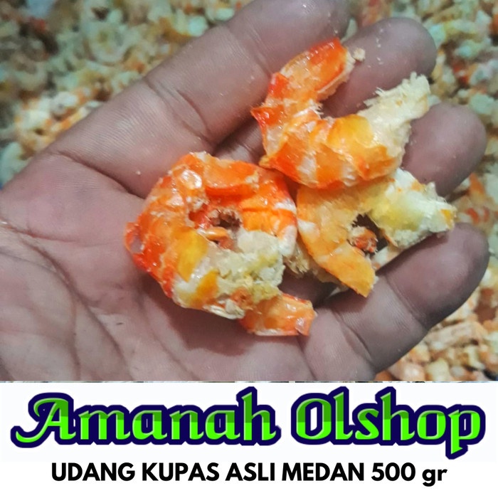 

EBI / UDANG KUPAS / UDANG TANPA KULIT 500 gr