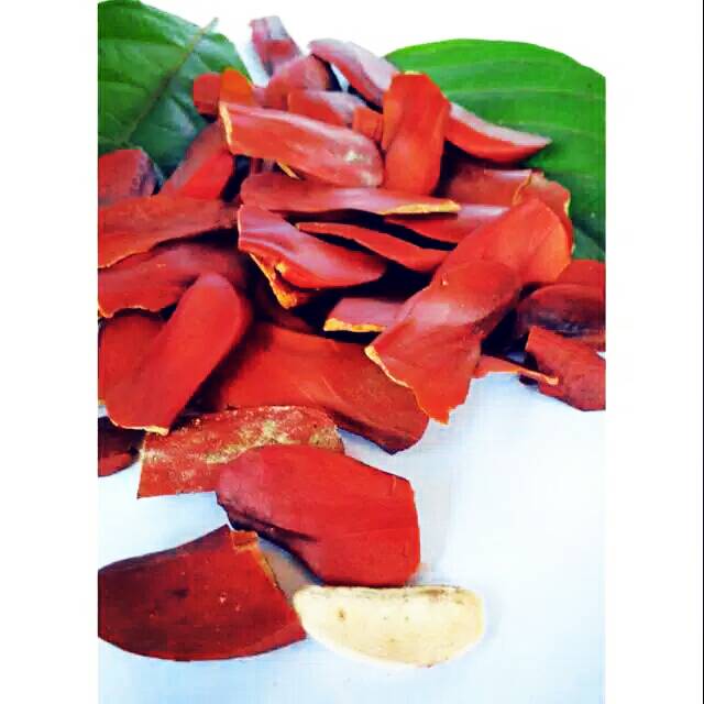 

HERBAL BIJI MAHONI KERING per 30 pcs CODE 3JQ9