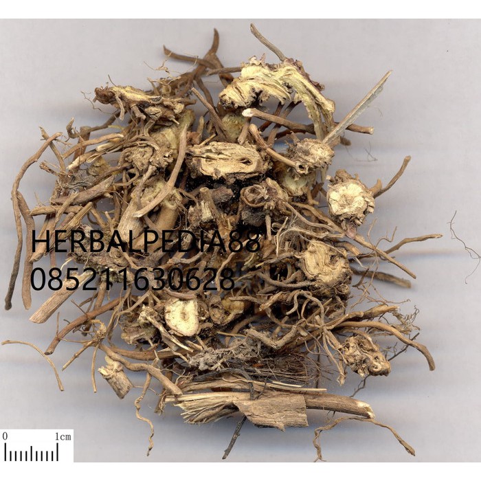 

bai wei 白薇 Cynanchi Atrati Radix 100 gram