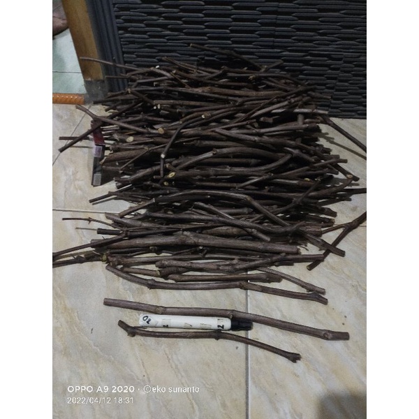 cutting Rs kober 5bb