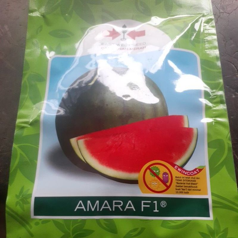 Semangka Non biji Amara