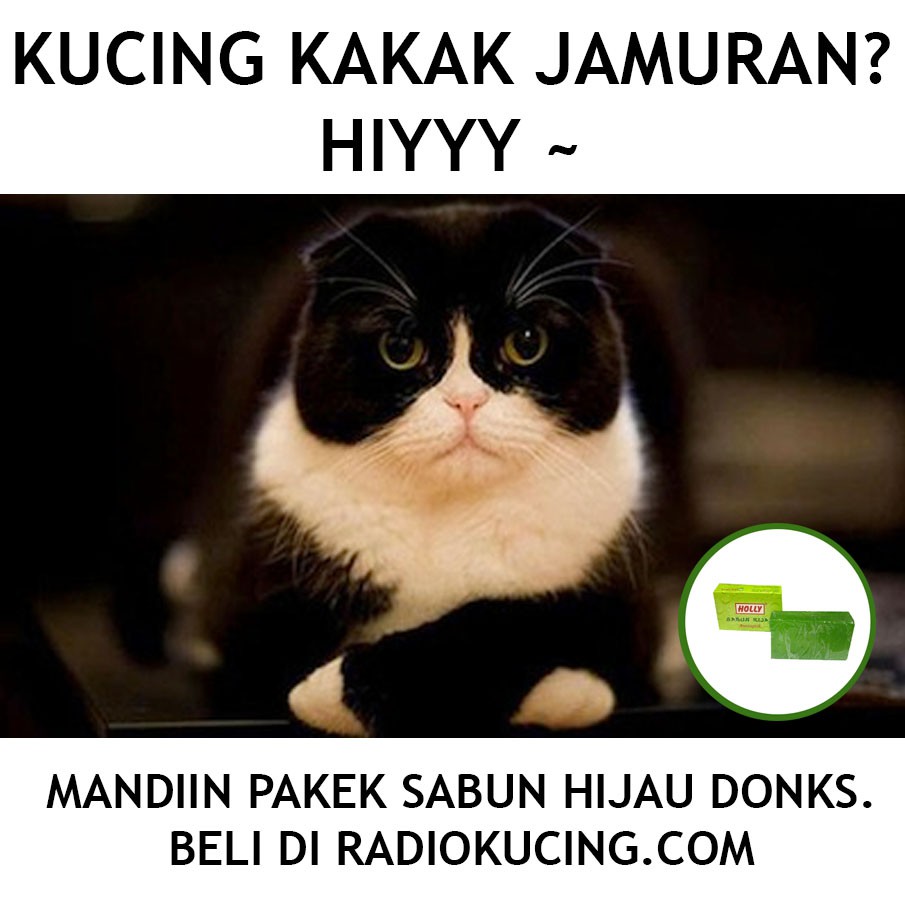 Sabun Hijau Antiseptik Anti Jamur Gatal Utk Kucing Anjing Hewan
