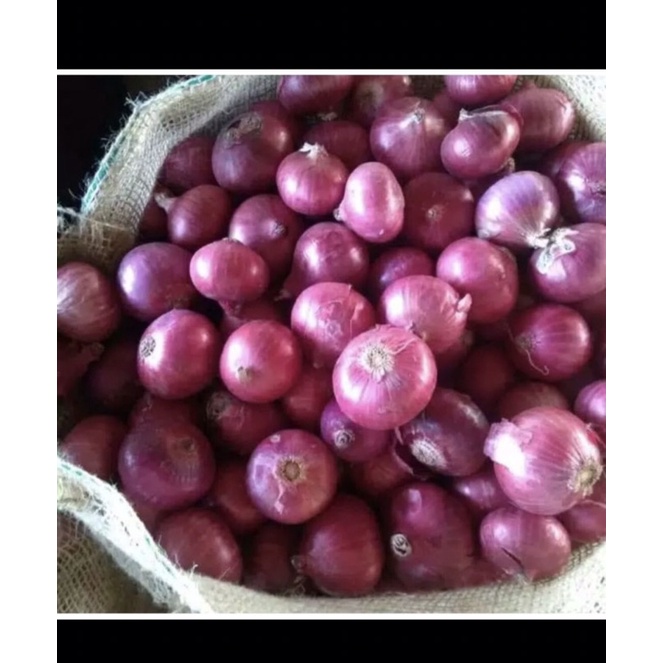 

promo terbaru bawang merah jumbo harga murah