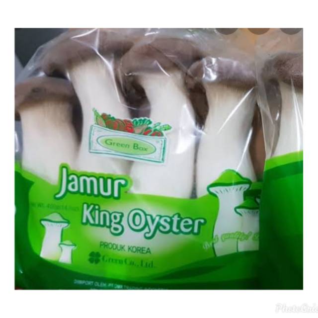 

Jamur king oyster korea
