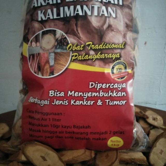 

Palmifolia Bajakah