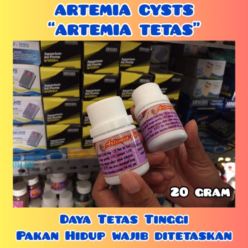 pakan burayak ikan cupang guppy koki lele koi Artemia tetas 20gram