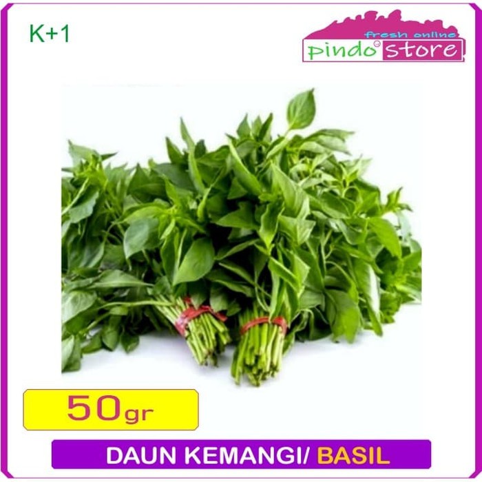 

DAUN KEMANGI SEGAR