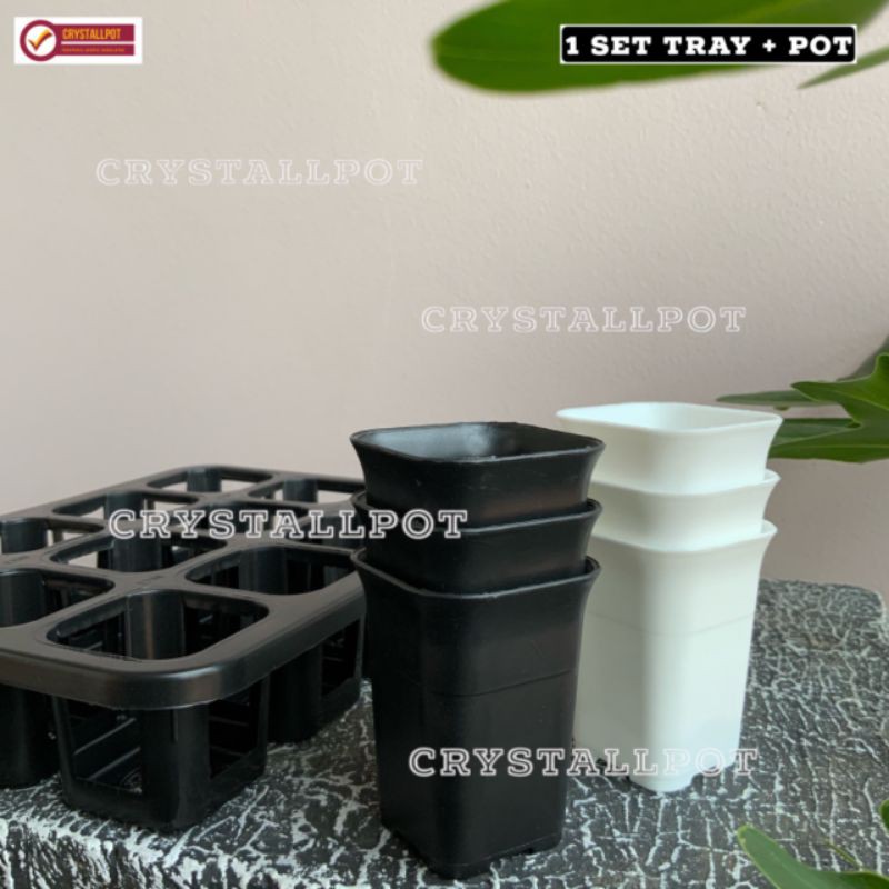 1 set Tray + pot bunga tanaman nkt kotak 5cm | tray semai bibit