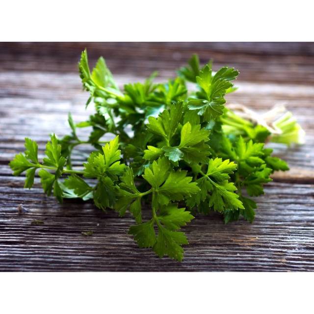 

PARSLEY FRESH / PETERSELI Harga per 500gr