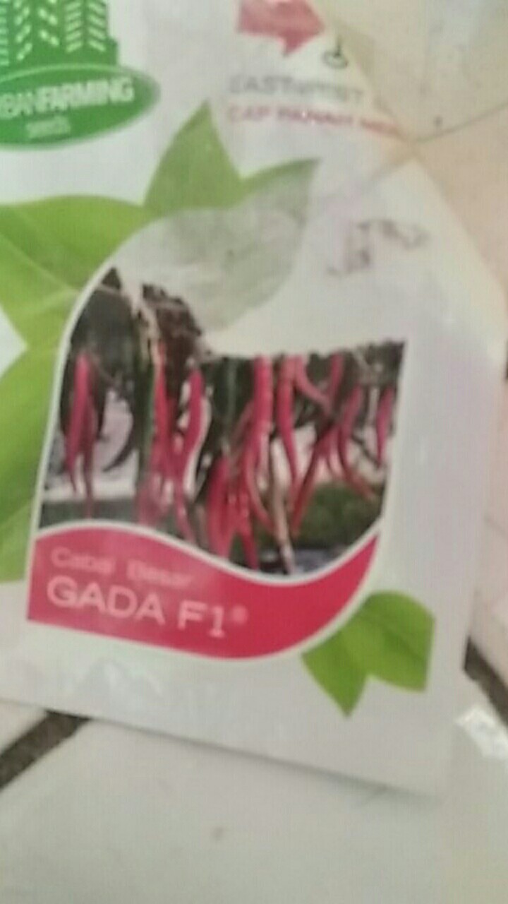 Benih Cabe Besar Gada F1 (kemasan Personal Pouch Cap Panah Merah)