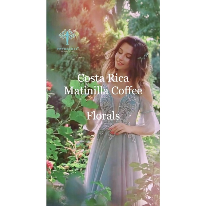 

Mythology Coffee - Costa Rica Matinilla MonSoon Chrysanthemum Beans