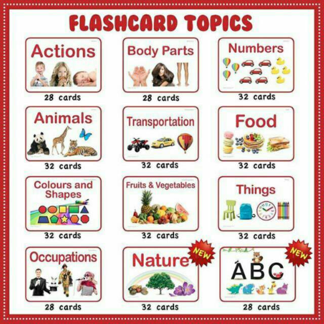 Flashcards / Flashcard / Flash Card