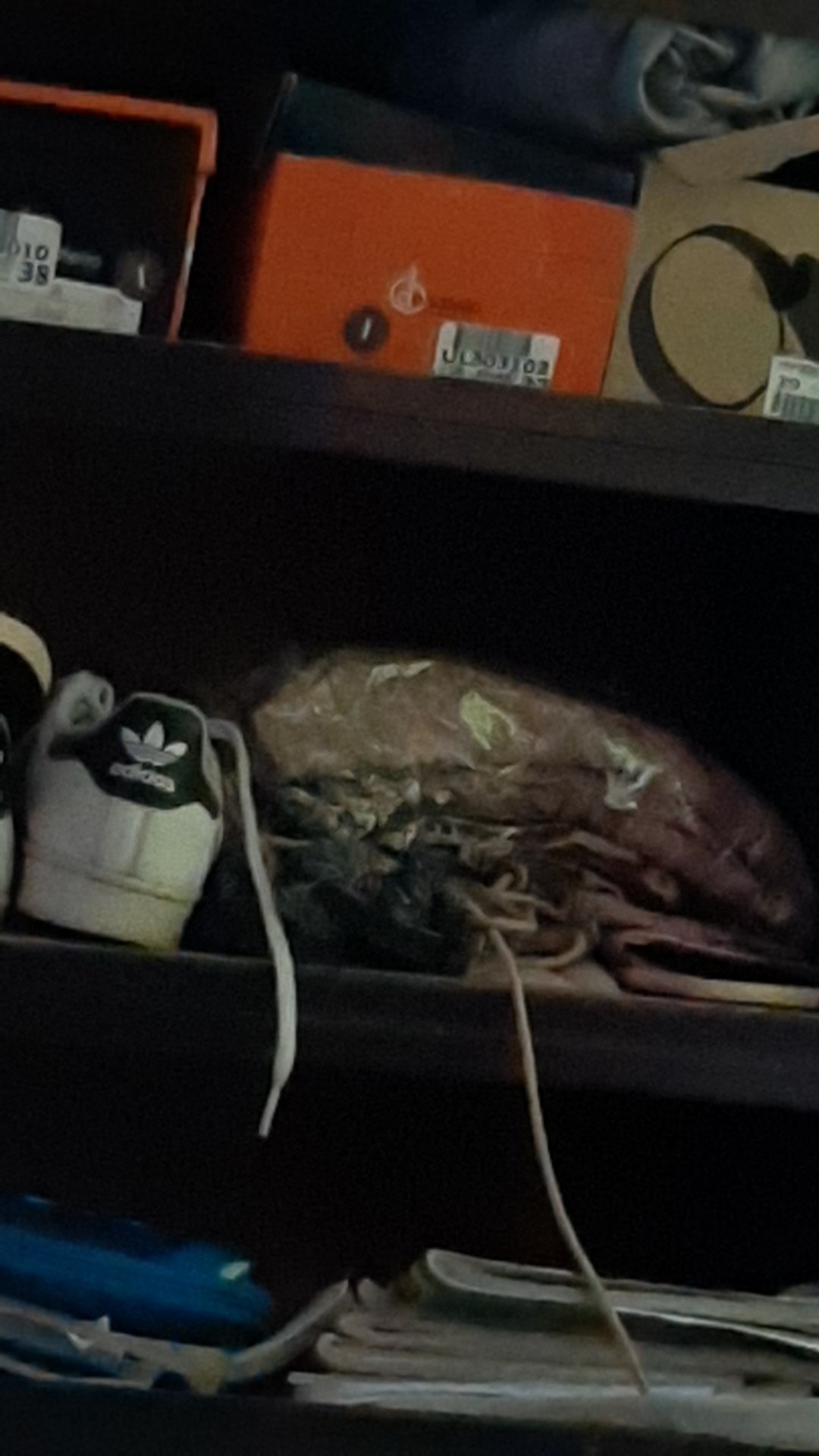 Spons Mandi / Bath Sponge / Shower Puff 50 Gr