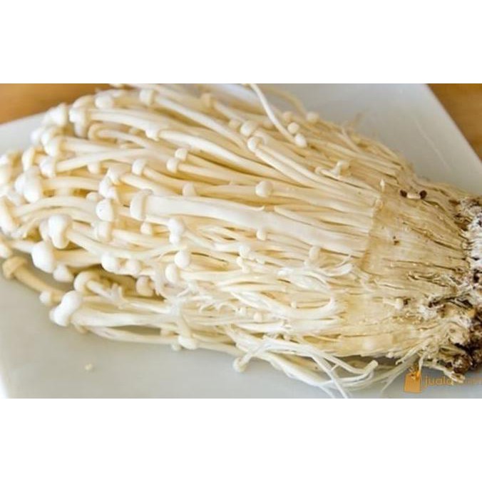 

Promo !! JAMUR ENOKI KOREA 100gr/pack Terbaru