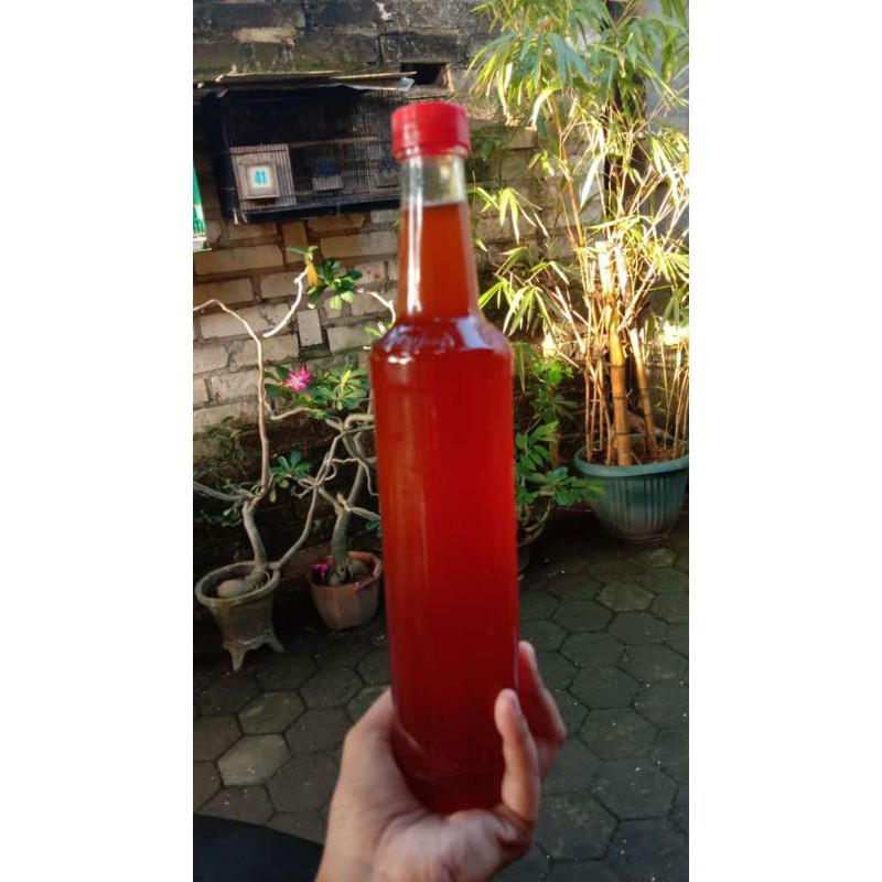 

Madu Asli Semanding Tuban - Madu Randu