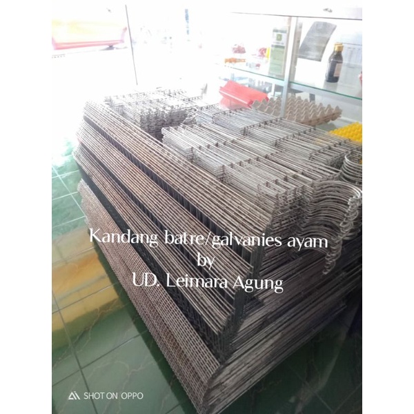 Kandang batre/modern ayam 4 pintu