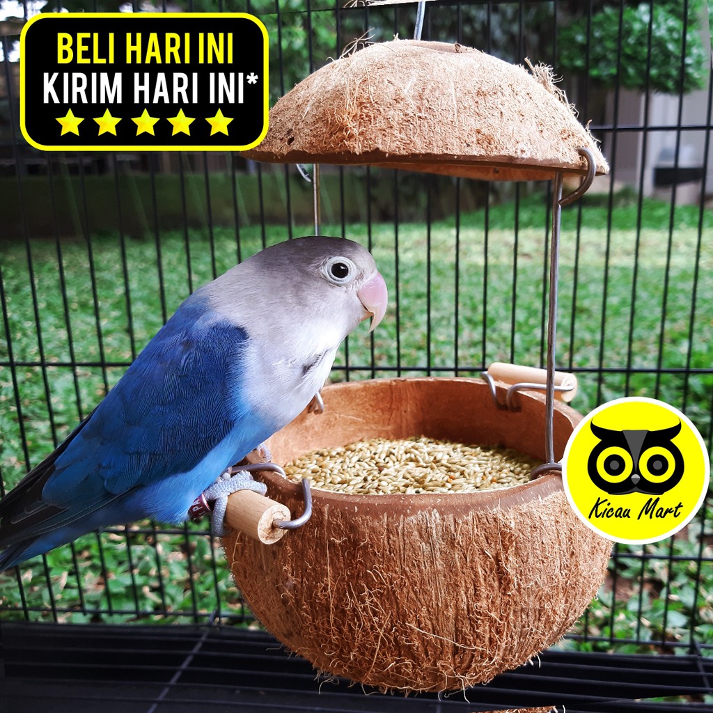 TEMPURUNG BATOK KELAPA KAWAT CEPUK WADAH PAKAN MAKAN MINUM BURUNG LOVE BIRD HAMSTER MARMUT BTKWT