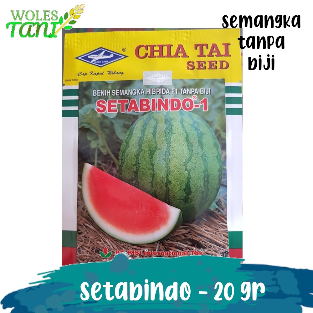 Semangka Setabindo  Stabindo 20 Gram Tanpa Biji