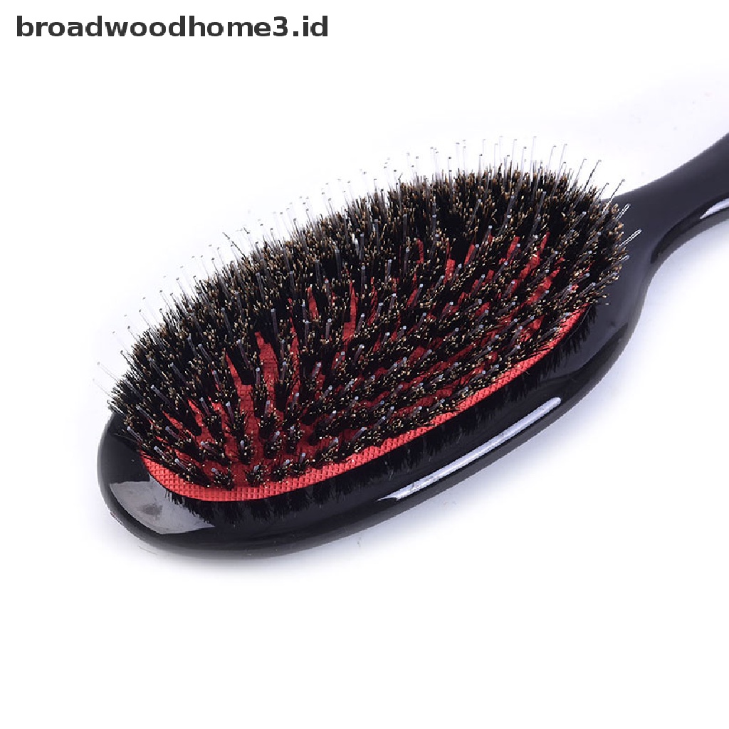 Sisir Pijat Rambut Bentuk Oval Bahan Bulu Babi Alami Anti Statis