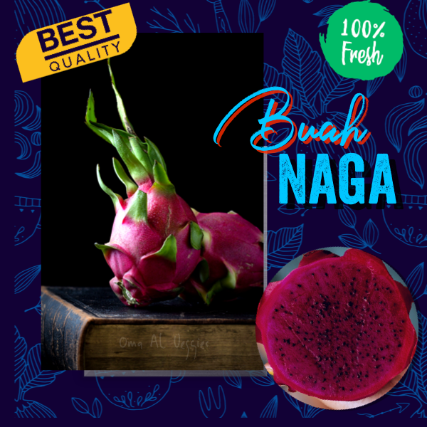 

BUAH NAGA / FRESH DRAGON FRUIT 1 Pcs 400-500 Gr BUAH SEGAR