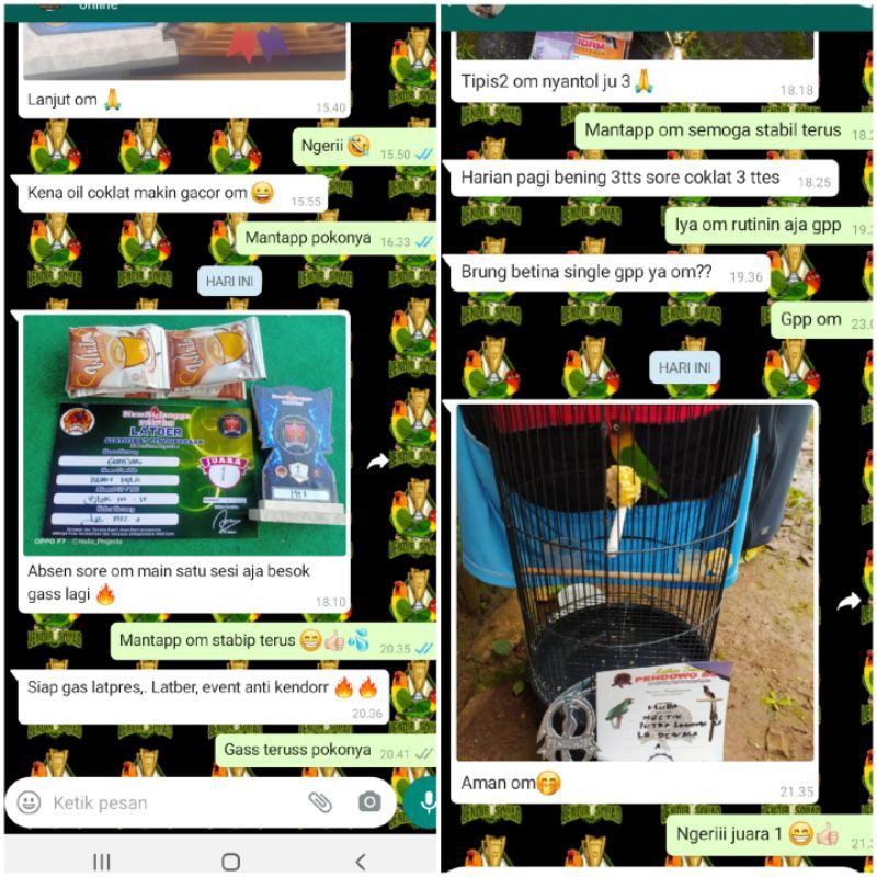 Kedaiari - Vitamin Penggacor Lovebird Lendir Squad 30Ml - Doping Konslet & Suplemen Burung