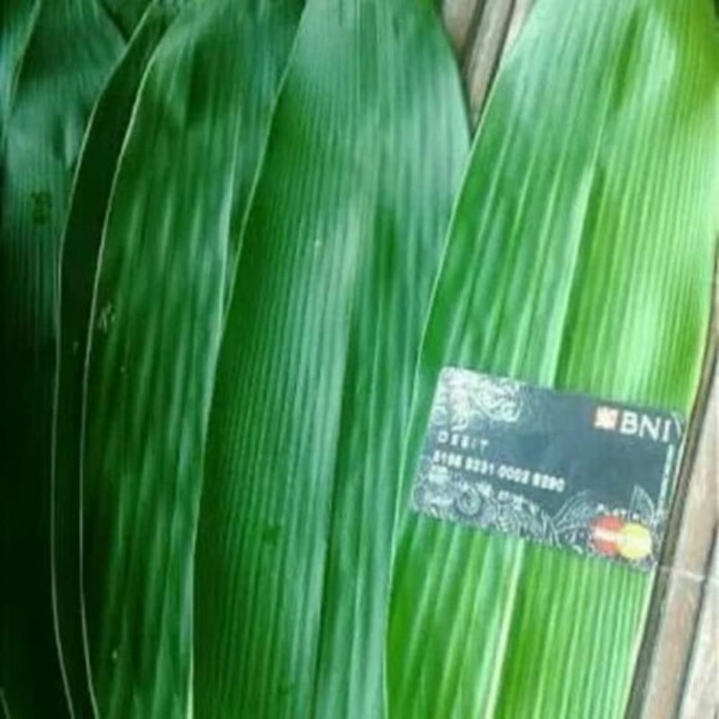

daun bambu jumbo bungkus bacang 100lembar