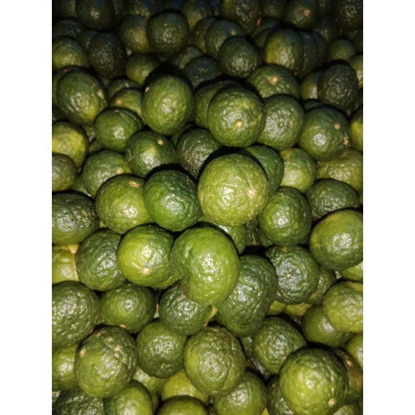 JERUK LIMO /LIMAU FRESH 1KG