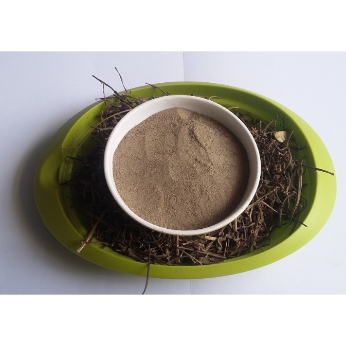 Simplisia Herba Sembukan Serbuk Best Quality 1 Kg